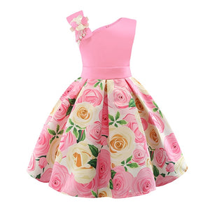 Embroidered Elegant Children Dress