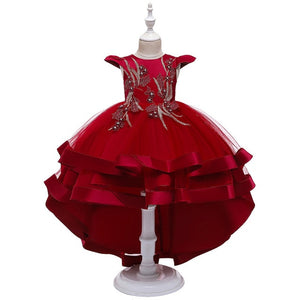 Girl Princess Dress