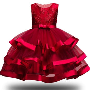 Girls Elegant Dresses