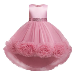 Girl Princess Dress