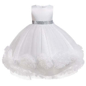 Girl Princess Dress