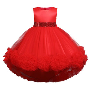 Girl Princess Dress