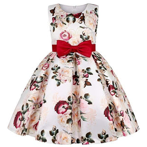 Embroidered Elegant Children Dress